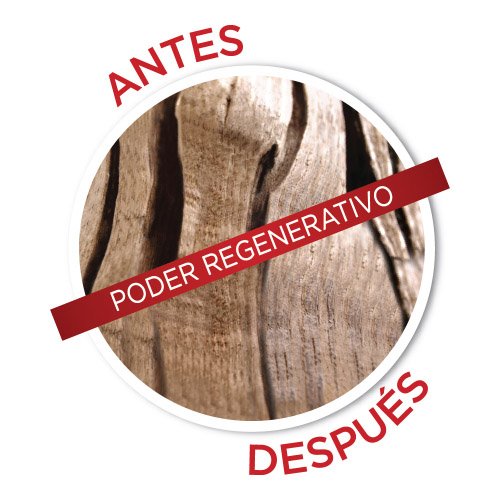 Crema de día Anti-Signos de la Edad L'Oréal Paris Acción